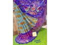 saree-with-contrast-blouse-small-2