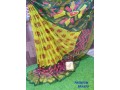 saree-with-contrast-blouse-small-1