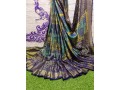 brasso-saree-small-2