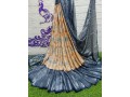 brasso-saree-small-3