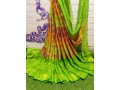 brasso-saree-small-1