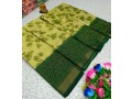 brasso-cotton-saree-small-1