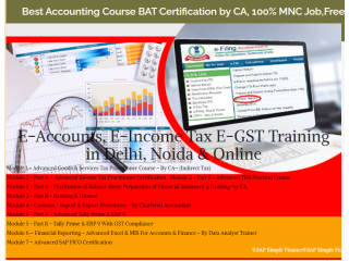 Offline Accounting Course in Delhi, 110011, with Free SAP Finance FICO  by SLA Consultants Institute in Delhi, NCR,