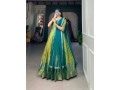 kanjivaram-gown-small-3