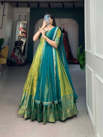 kanjivaram-gown-big-3