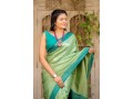 kubera-pattu-saree-small-3