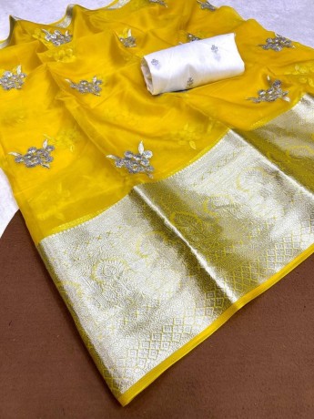 organza-with-silver-sequence-saree-big-2