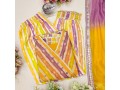 x-lady-launching-new-inn-multicoloured-anarkali-with-mirror-work-and-zippy-lace-small-4