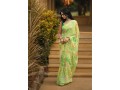 fancy-saree-small-0