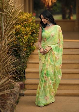 fancy-saree-big-0