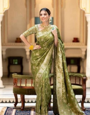 pallu-saree-big-1