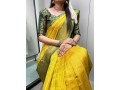 kanjiwaram-saree-small-3