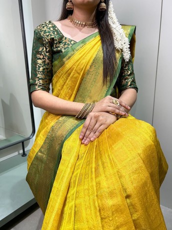 kanjiwaram-saree-big-3