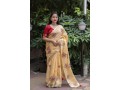 soft-lenin-silk-saree-small-1