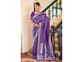 viscose-paithani-saree-small-1