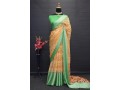 soft-mosh-chiffon-saree-small-3