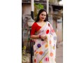 linen-saree-small-3