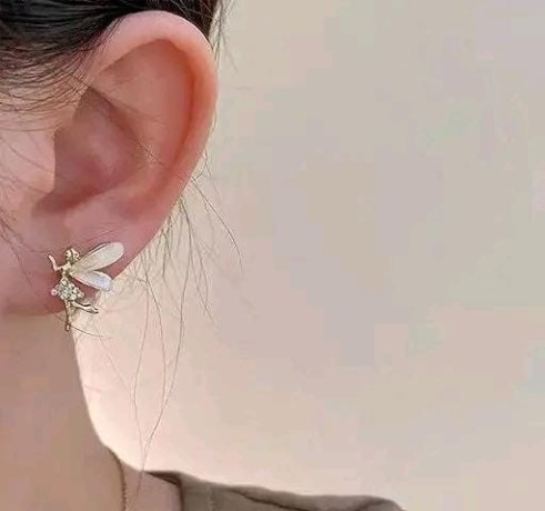 korean-earrings-big-3