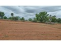 2-acre-agriculture-land-for-sale-in-dindigul-district-small-0