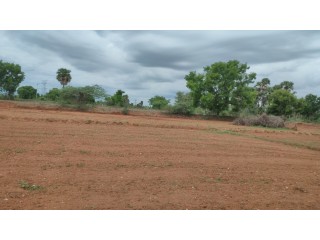 2 Acre agriculture land for sale in dindigul district