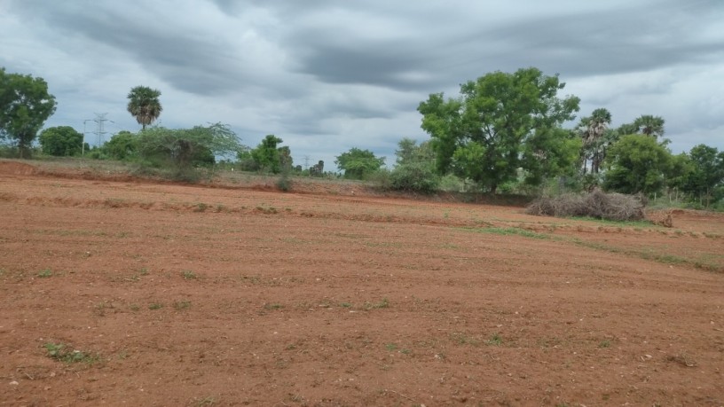 2-acre-agriculture-land-for-sale-in-dindigul-district-big-0