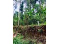 73-cent-farm-land-for-sale-in-kodaikanal-mountain-range-small-2