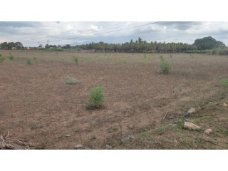 23 Acre agriculture land for sale in near dindigul