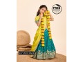 embroidery-lahenga-blouse-dupatta-small-3