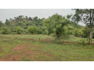 Low budget 1 acre agriculture land for sale in ayyampalayam near vathalakundu