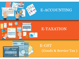 Accounting Course in Delhi, 110033, SLA Accounting Institute, Taxation and Tally Prime Institute in Delhi, Noida,