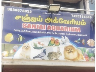 SANJAI AQUARIUM