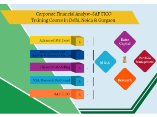 Financial Modeling Training Course in Delhi, 110079. Best Online Live Financial Analyst Training in Patna by IIT Faculty , [ 100% Job in MNC]