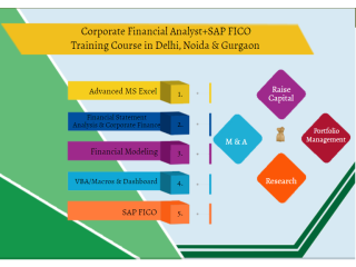 Financial Modelling Course in Delhi,110056. Best Online Live Financial Analyst Training in Kota by IIT Faculty , [ 100% Job in MNC]