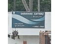 saravana-catterz-small-0