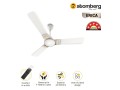 erica-celing-fan-small-0