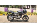 bajaj-puisar-small-2