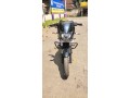 bajaj-puisar-small-1