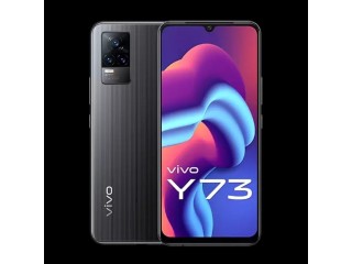 VIVO Y 73