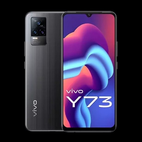 vivo-y-73-big-0