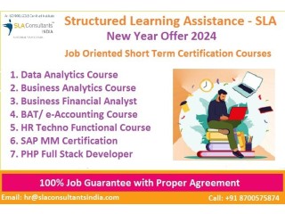 Data Analyst Course in Delhi with Free Python ML+SAS by SLA Institute in Delhi, NCR, Market Research Analyst [100% Placement, Learn New Skill of '24]