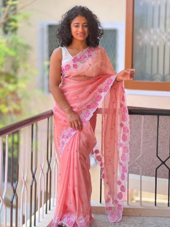 pure-organza-saree-big-2