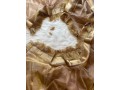 dual-tone-silk-tissue-with-gold-jhallar-saree-small-3