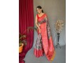 kalamkari-prints-saree-small-1