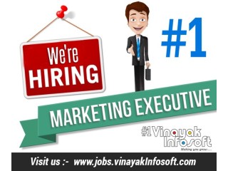 Wanted marketing executive