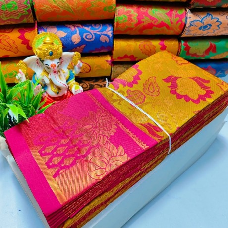 tissue-silk-saree-big-1