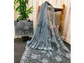 fancy-net-sarees-small-2