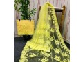 fancy-net-sarees-small-1